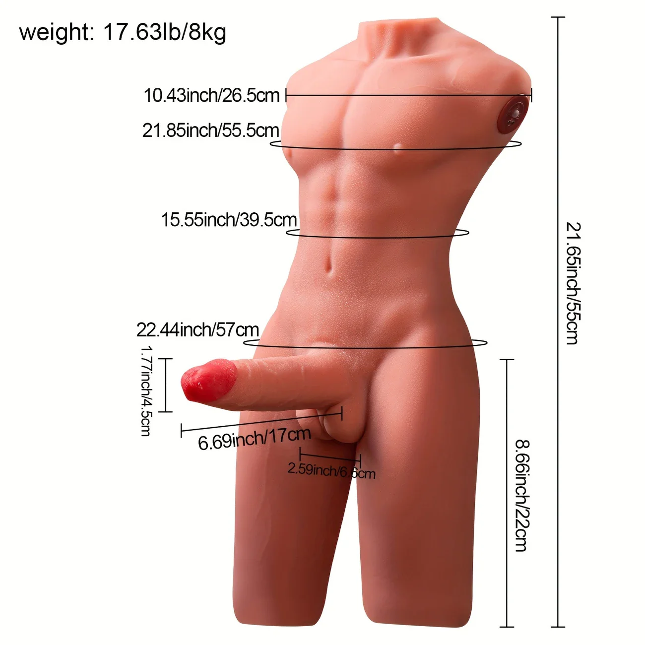 17.64Lb Male Sex Torso with Thrusting Realistic Dildo & Tight Anus - Image 7