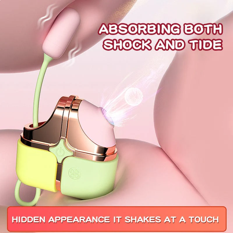 Exquisite Box 2-in-1 Clit Sucker With Bullet Vibrator - Image 3