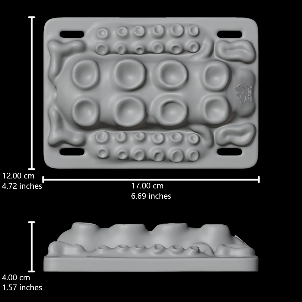 Octopus - Image 12