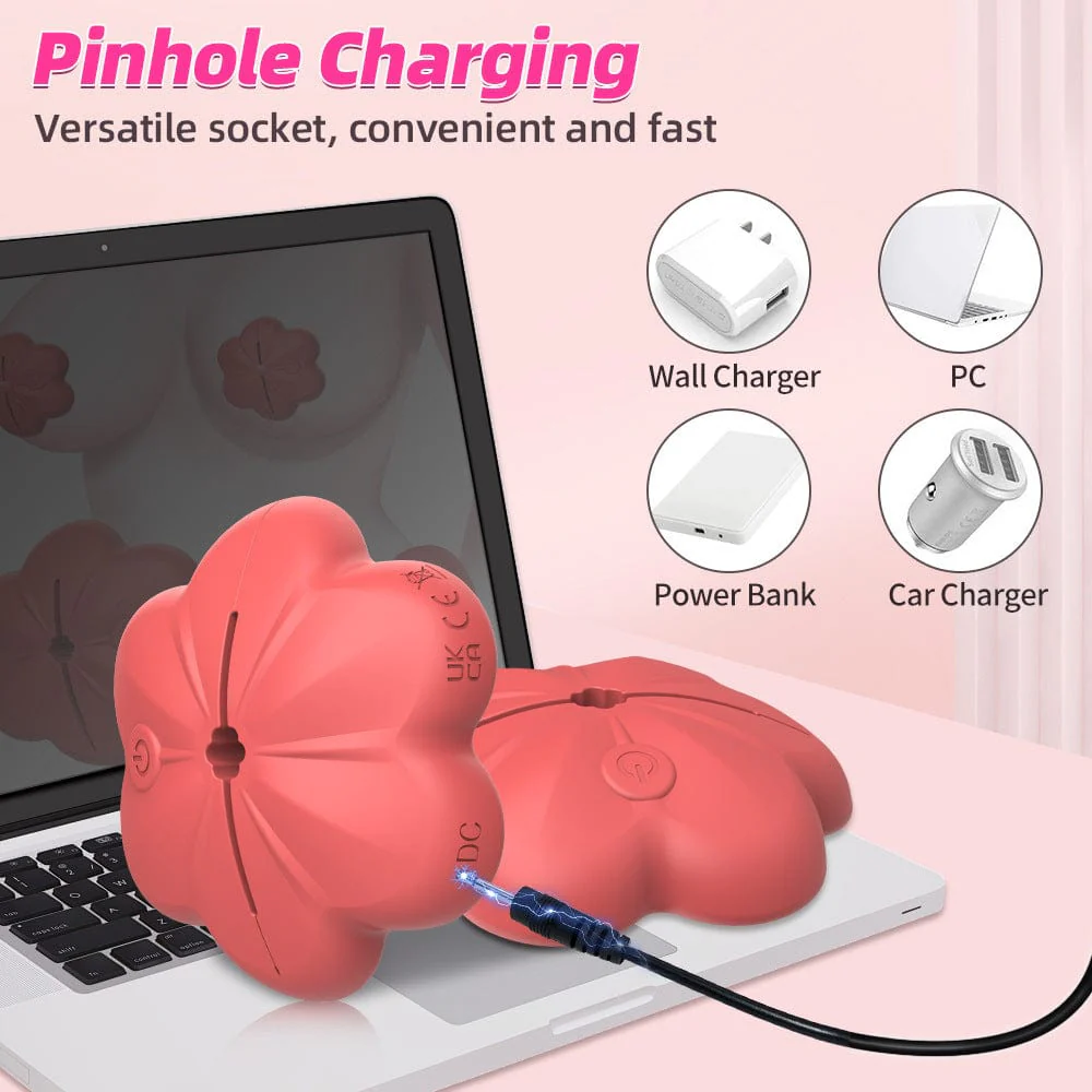 Wireless Nipple Clamp Vibrator 10 Modes 3 Clamping Forces Waterproof Nipple toys - Image 7