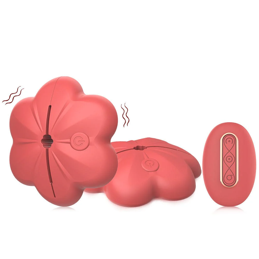 Wireless Nipple Clamp Vibrator 10 Modes 3 Clamping Forces Waterproof Nipple toys - Image 9
